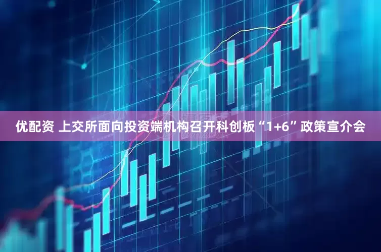 优配资 上交所面向投资端机构召开科创板“1+6”政策宣介会