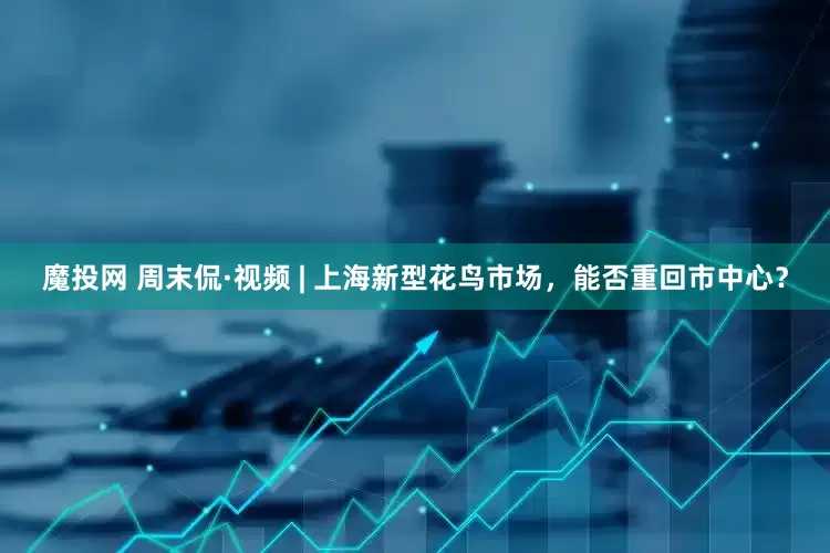 魔投网 周末侃·视频 | 上海新型花鸟市场，能否重回市中心？